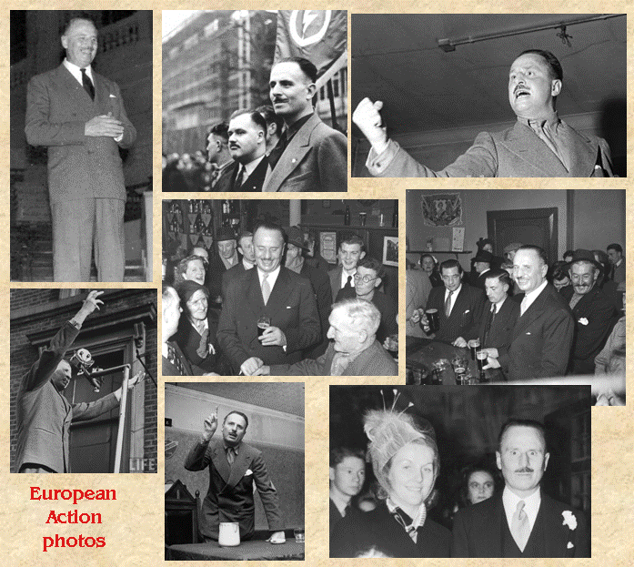 collage.gif
