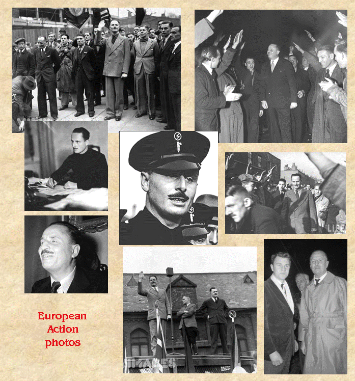 collage2.gif