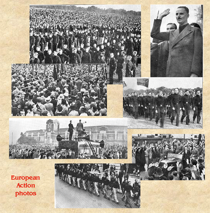 collage4.gif